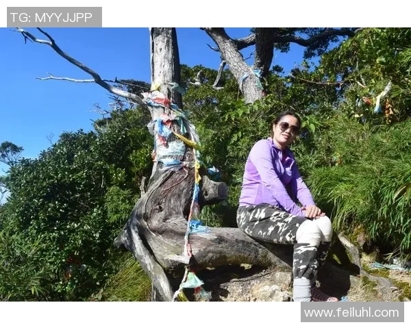 李伟亲授攀岩技巧与心得分享助你轻松征服高峰