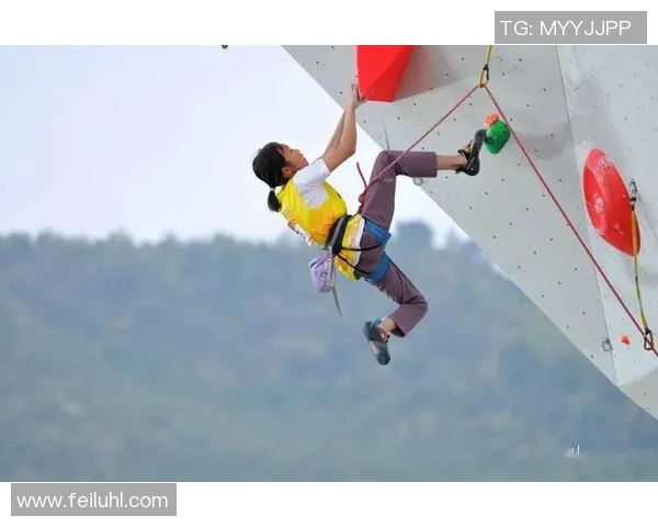 武汉攀岩队荣登全国攀岩意识排行榜第七位展现实力与潜力